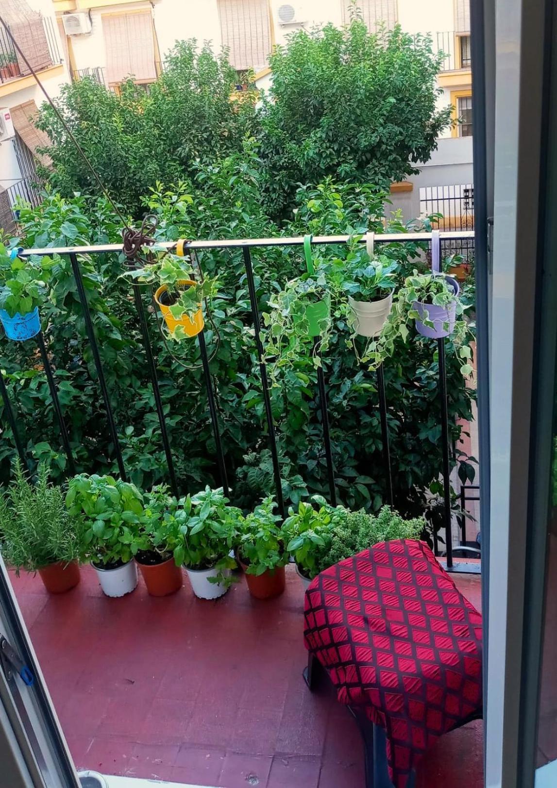 Roberta'S Guest House Sevilla Bagian luar foto